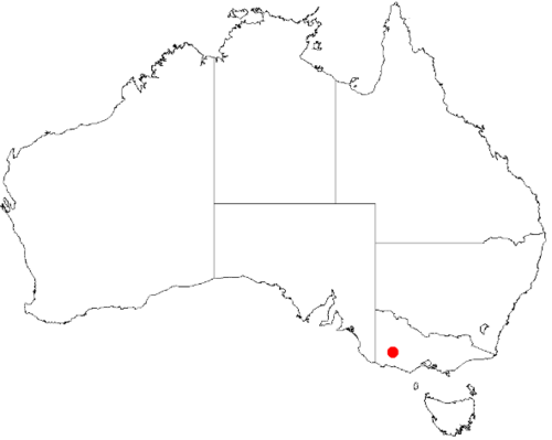 Bertya grampiana: Bertya grampiana Occurrence data downloaded on 22 June 2019 from Australasian Virtual Herbarium using doi: https://doi.org/10.26197/5d0d66a8764c3
