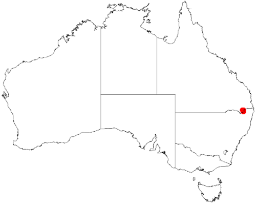 Bertya recurvata: Bertya recurvata Occurrence data downloaded on 22 June 2019 from Australasian Virtual Herbarium using doi: https://doi.org/10.26197/5d0d66a8764c3