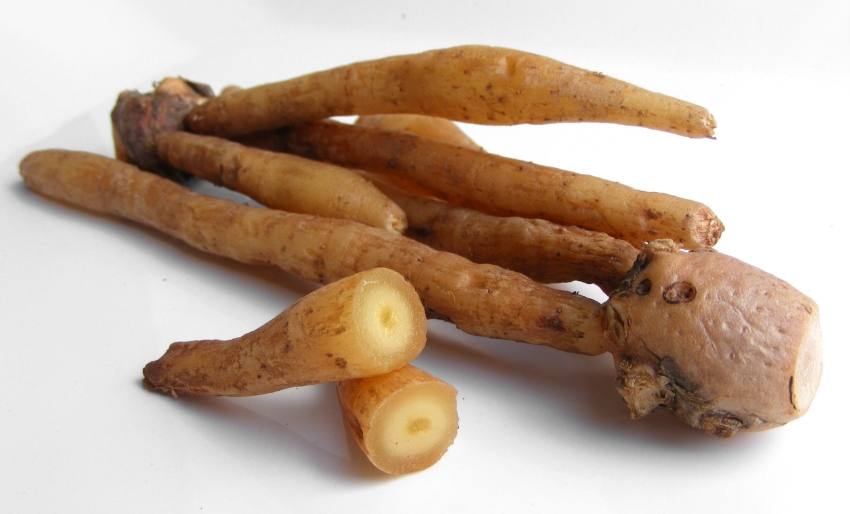 Fingerroot: Chinese ginger or fingerroot. Taste a lot like ginger, only "stronger". a little bit medicinal. Nice in fish-curries. Meer weten over Chinese Gember ? Surf naar