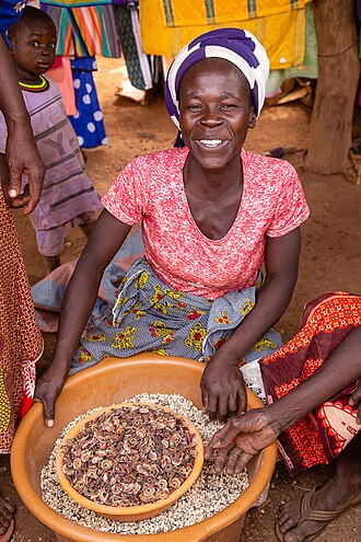 Gold Coast bombax: A Konkomba woman sells dried sepals (of Bombax Buonopozense flowers) and beans in the market of Gbintiri, Ghana.