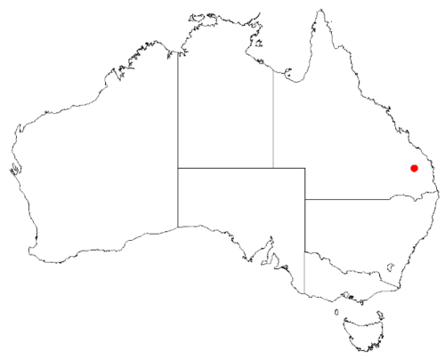 Boronia beeronensis: Boronia beeronensis Occurrence data from Australasian Virtual Herbarium downloaded 8 April 2019 using DOI https://doi.org/10.26197/5caadda633168