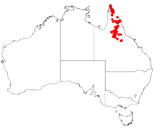 Boronia bowmanii: Boronia bowmanii Occurrence data from Australasian Virtual Herbarium downloaded 8 April 2019 using DOI https://doi.org/10.26197/5caadda633168