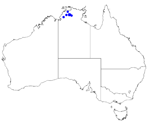 Boronia decumbens: Boronia decumbens occurrence data downloaded from Australasian Virtual Herbarium 10 April 2019 using doi: https://doi.org/10.26197/5cacda08e37d9 This download i