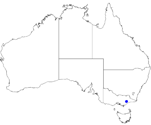 Boronia galbraithiae: Boronia galbraithiae occurrence data downloaded from Australasian Virtual Herbarium 10 April 2019 using doi: https://doi.org/10.26197/5cacda08e37d9 This downloa