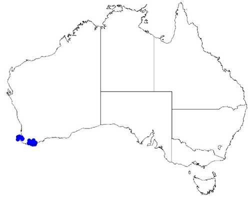 Kalgan boronia: Boronia heterophylla occurrence data downloaded from Australasian Virtual Herbarium 10 April 2019 using doi: https://doi.org/10.26197/5cacda08e37d9 This downloa