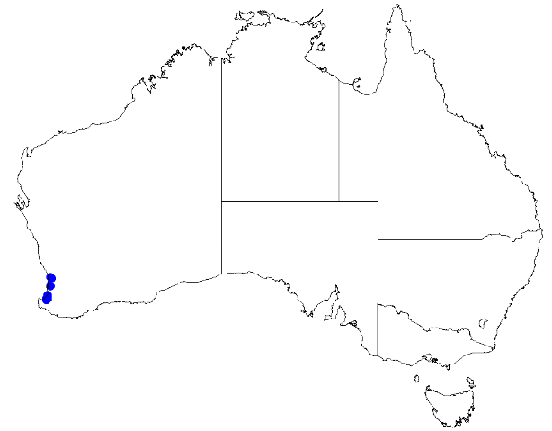 Boronia humifusa: Boronia humifusa occurrence data downloaded from Australasian Virtual Herbarium 10 April 2019 using doi: https://doi.org/10.26197/5cacda08e37d9 This download in