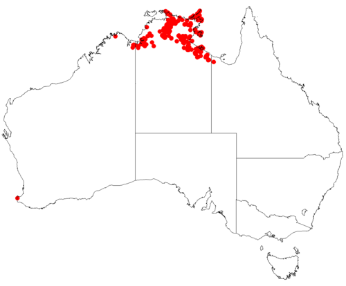 Boronia lanuginosa: Boronia lanuginosa occurrence records downloaded from Australasian Virtual Herbarium , 28 May 2018