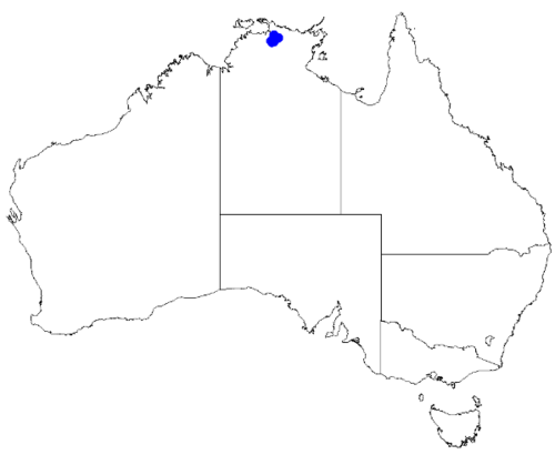 Boronia laxa: Boronia laxa occurrence data downloaded from Australasian Virtual Herbarium 10 April 2019 using doi: https://doi.org/10.26197/5cacda08e37d9 This download includ