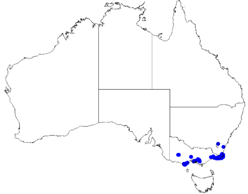 Pink boronia: Boronia muelleri downloaded from Australasian Virtual Herbarium 10 April 2019 using doi: https://doi.org/10.26197/5cacda08e37d9 This download included all the e