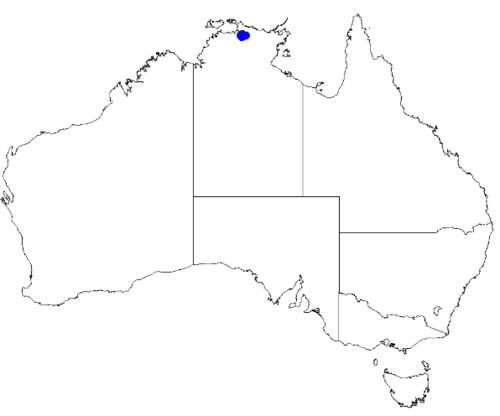 Boronia prolixa: Boronia prolixa occurrence data downloaded from Australasian Virtual Herbarium 10 April 2019 using doi: https://doi.org/10.26197/5cacda08e37d9 This download inc