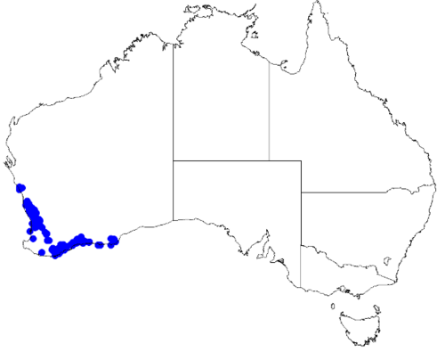 Rough boronia: Boronia scabra downloaded from Australasian Virtual Herbarium 10 April 2019 using doi: https://doi.org/10.26197/5cacda08e37d9 This download included all the env