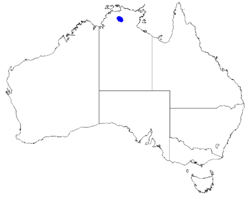 Boronia verecunda: Boronia verecunda occurrence data downloaded from Australasian Virtual Herbarium 10 April 2019 using doi: https://doi.org/10.26197/5cacda08e37d9 This download i