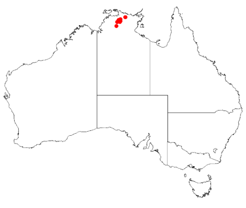 Boronia xanthastrum: Boronia xanthastrum Occurrence data from Australasian Virtual Herbarium downloaded 8 April 2019 using DOI https://doi.org/10.26197/5caadda633168