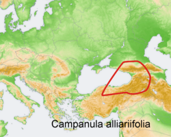 Campanula alliariifolia: Distribution map of a species of genus Campanula in Europe and near east Try - according to information about the natural distribution given in the wikipedia ar