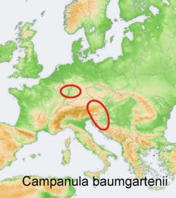 Campanula baumgartenii: Distribution map of a species of genus Campanula in Europe and near east Try - according to information about the natural distribution given in the wikipedia ar