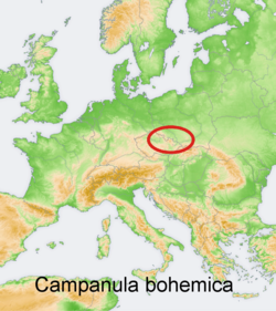 Campanula bohemica: Distribution map of a species of genus Campanula in Europe and near east Try - according to information about the natural distribution given in the wikipedia ar