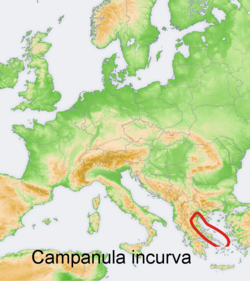Campanula incurva: Distribution map of some species of genus Campanula in Europe and near east Try - according to information about the natural distribution given in the wikipedia
