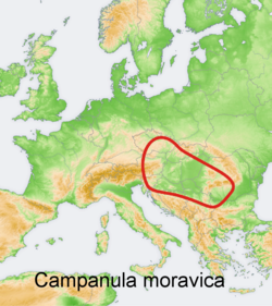 Campanula moravica: Distribution map of some species of genus Campanula in Europe and near east Try - according to information about the natural distribution given in the wikipedia