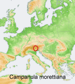 Campanula morettiana: Distribution map of some species of genus Campanula in Europe and near east Try - according to information about the natural distribution given in the wikipedia