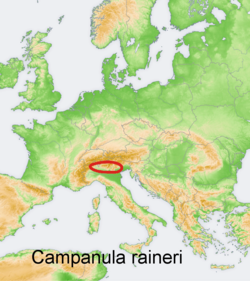 Campanula rainerii: Distribution map of some species of genus Campanula in Europe and near east Try - according to information about the natural distribution given in the wikipedia