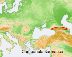 Campanula sarmatica: Distribution map of some species of genus Campanula in Europe and near east Try - according to information about the natural distribution given in the wikipedia
