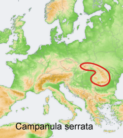 Campanula serrata: Distribution map of some species of genus Campanula in Europe and near east Try - according to information about the natural distribution given in the wikipedia