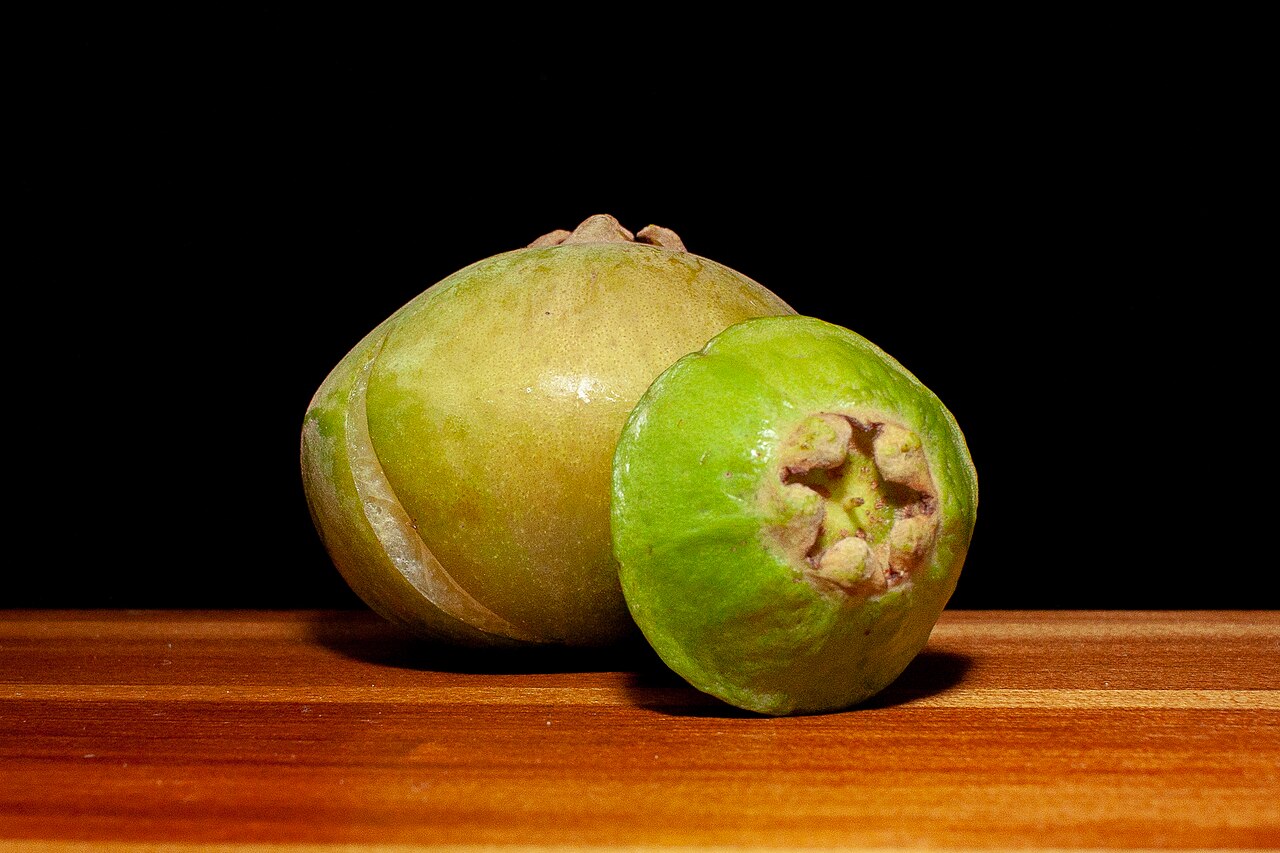 Campomanesia phaea: Fruta do cambuci (Campomanesia phaea): na esquerdaé o fruto maduro e na direita é o fruto verde