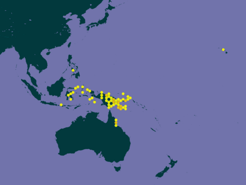 Canarium acutifolium: Canarium acutifolium distribution map