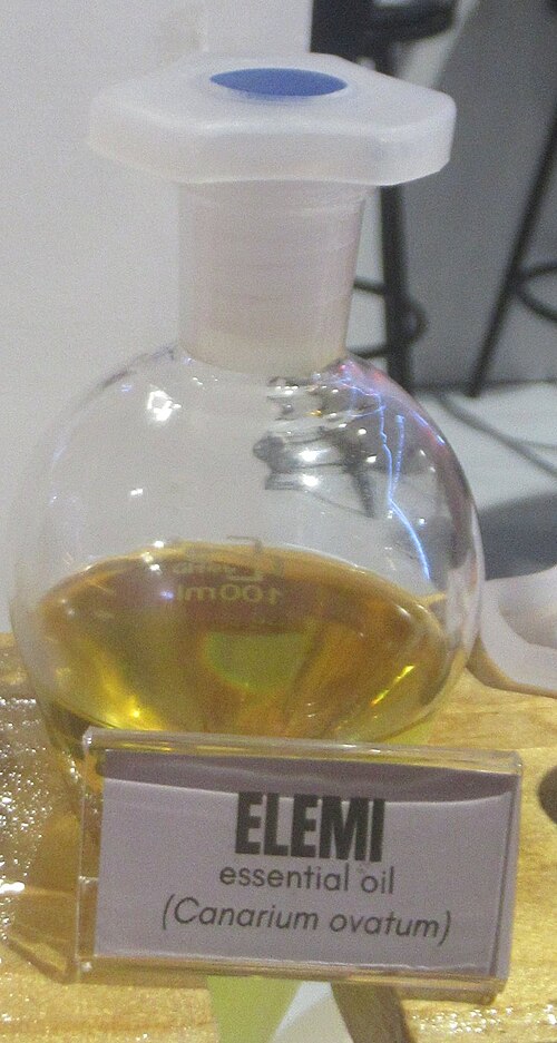 Pili nut: Manila Elemi Elemi oil (Canarium spp.) Resinoid Elemi resinoid is aromatic extract from Canarium spp.
