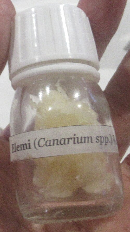 Pili nut: Manila Elemi Elemi oil (Canarium spp.) Resinoid Elemi resinoid is aromatic extract from Canarium spp.