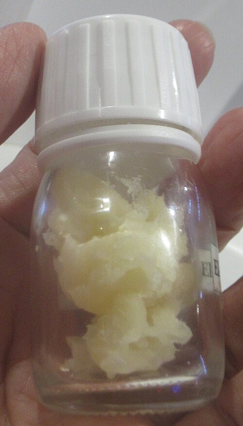 Pili nut: Manila Elemi Elemi oil (Canarium spp.) Resinoid Elemi resinoid is aromatic extract from Canarium spp.