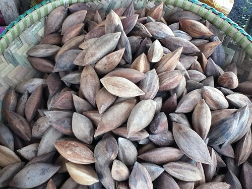 Pili nut: Pili nut