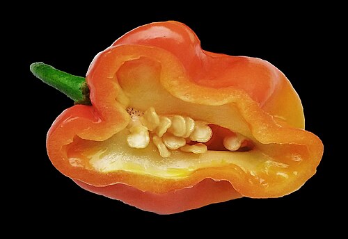 Aji: Habanero on black background