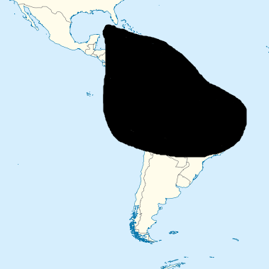 Aji: C. chinense distribution map