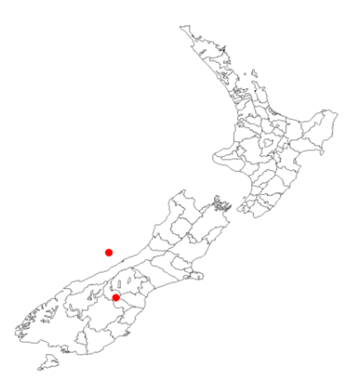 Blonde sedge: Carex albula New Zealand occurrence data from Australasian Virtual Herbarium downloaded 27 November 2019 using DOI https://doi.org/10.26197/5ddda7ff29955