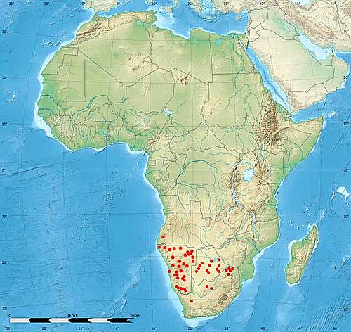 Rattle pod: Distribution map of Catophractes alexandri D.Don using File:Africa relief location map.jpg as base
