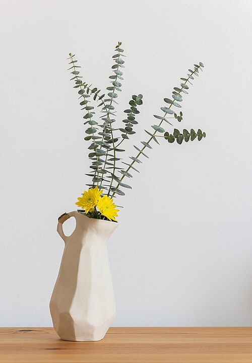 Florist's daisy: Anna Westerlund vase with florist's daisies (Chrysanthemum × morifolium) and cider gum (Eucalyptus gunnii), Lisbon, Portugal