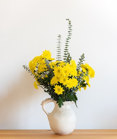 Florist's daisy: Anna Westerlund vase with florist's daisies (Chrysanthemum × morifolium) and cider gum (Eucalyptus gunnii), Lisbon, Portugal