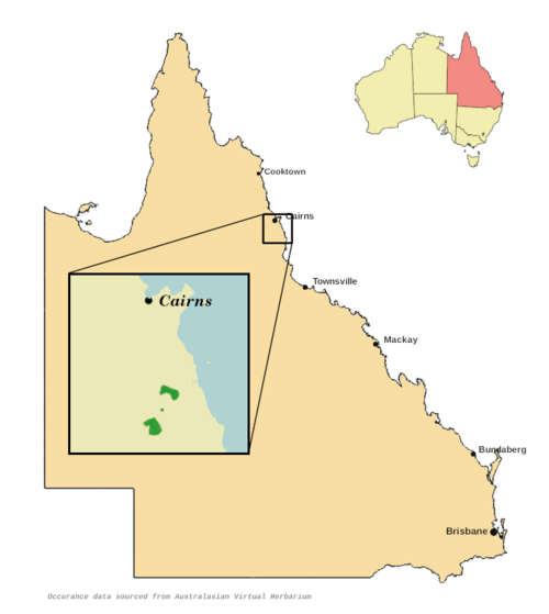 Pepperwood: Cinnamomum propinquum distribution map