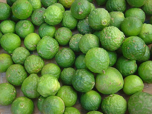 Kaffir lime: Citrus hystrix (sold on Réunion Island) July 29, 2005