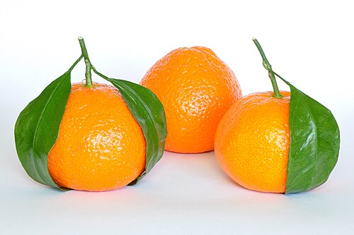 Mandarin orange: Mandarin oranges (Citrus Reticulata).