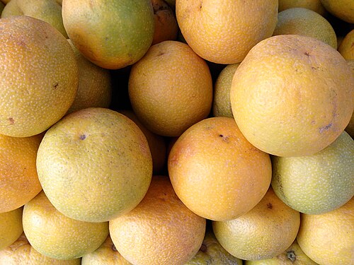 Bitter orange: Citrus aurantium, Salem, Tamil Nadu, India