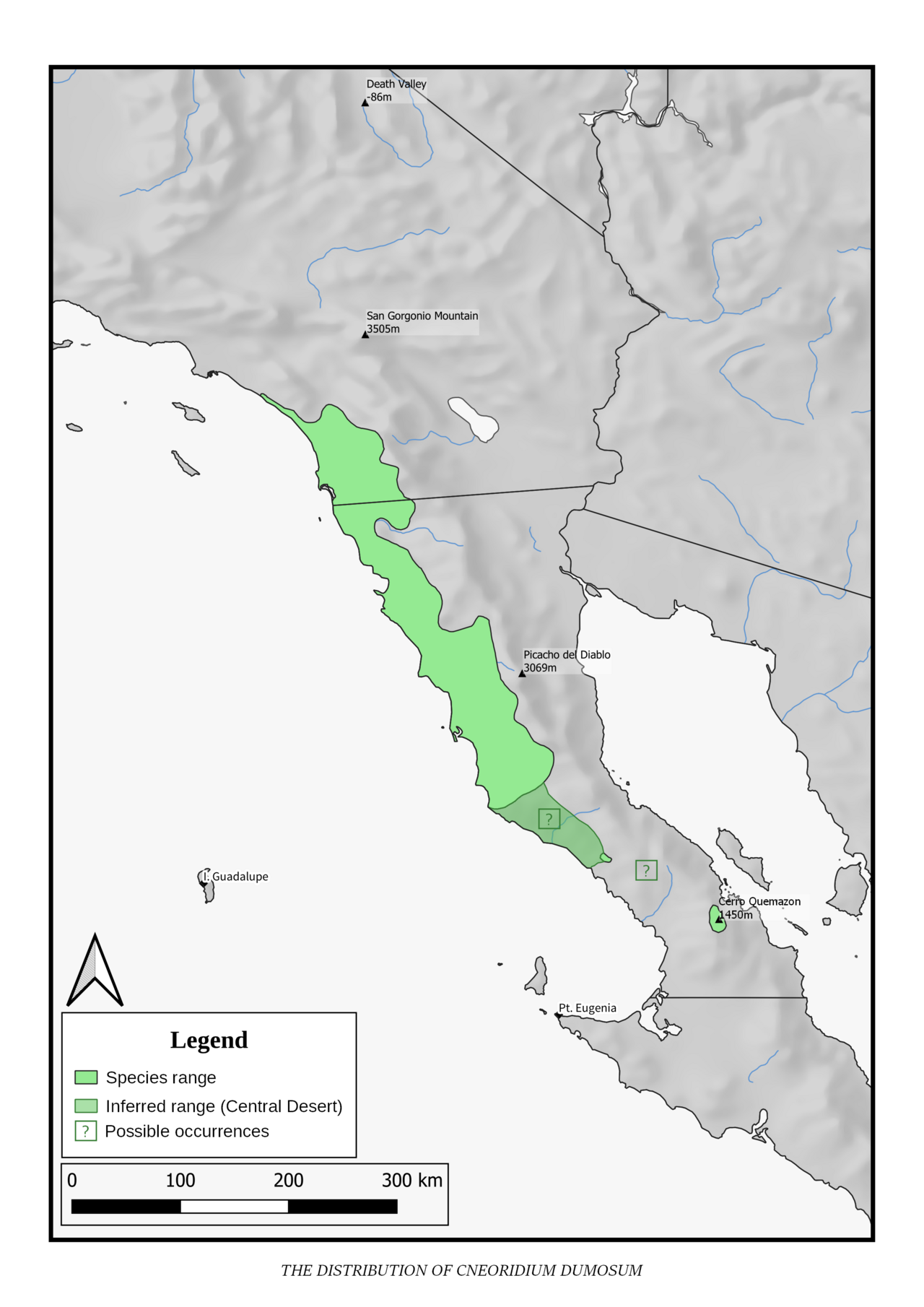 Bush rue: The distribution of Cneoridium dumosum, a monotypic genus in the Citrus family, within North America. Centered on northern Baja California. Dashed areas indicat