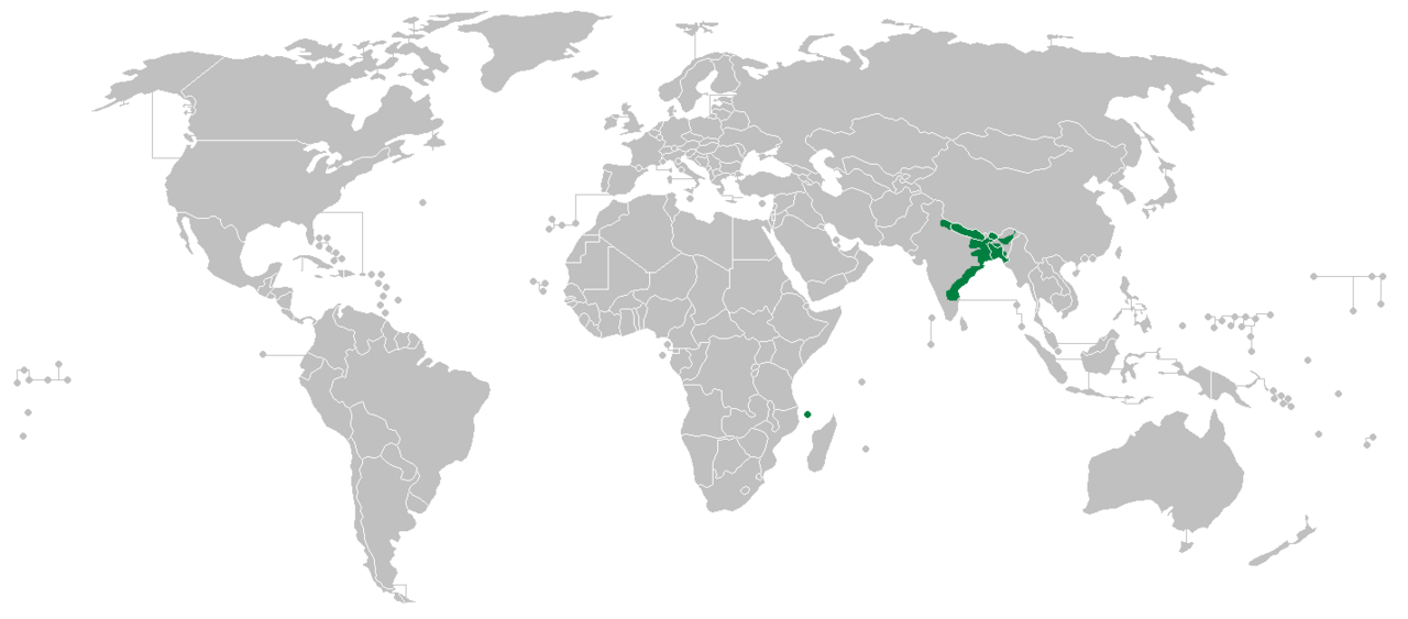 Bengal coffee: Distribution map of Coffea benghalensis