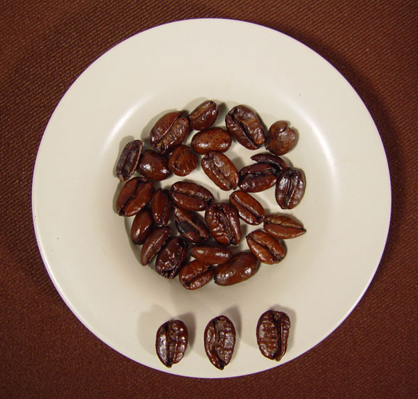 Liberian coffee: This picture shows distinctive shape variations of Liberica coffee beans. These are coffee beans from Mindora, an island in the Phillipines near Luzon. Liberica