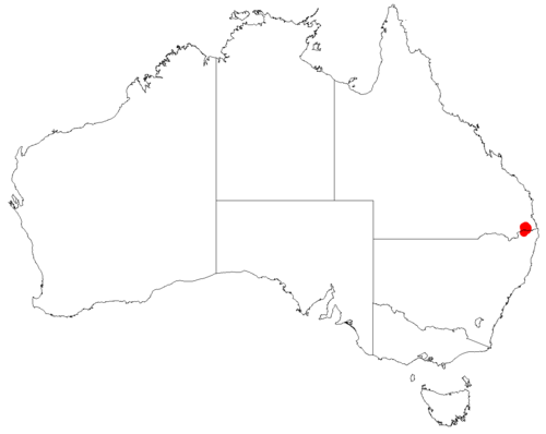 Comesperma breviflorum: Comesperma breviflorum occurrence data downloaded from Australasian Virtual Herbarium doi: https://doi.org/10.26197/ala.47a5572a-9a44-4824-8338-856b0ea66947