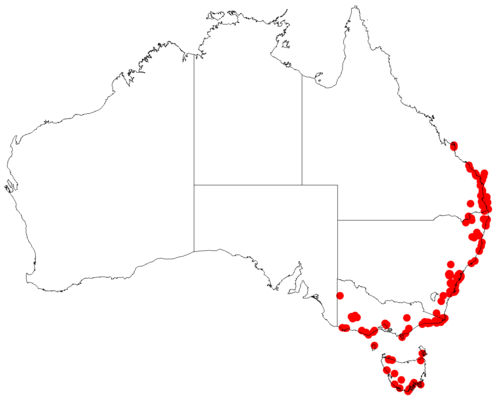 Comesperma defoliatum: Comesperma defoliatum occurrence data downloaded from Australasian Virtual Herbarium doi: https://doi.org/10.26197/ala.47a5572a-9a44-4824-8338-856b0ea66947