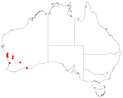 Comesperma griffinii: Comesperma griffinii occurrence data downloaded from Australasian Virtual Herbarium doi: https://doi.org/10.26197/ala.47a5572a-9a44-4824-8338-856b0ea66947