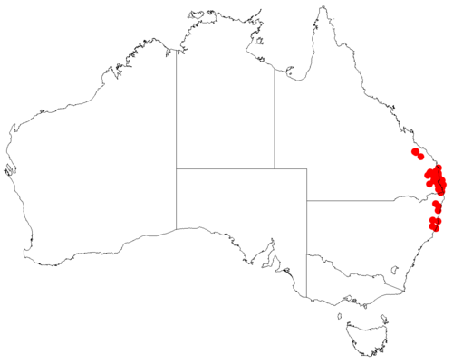 Comesperma hispidulum: Comesperma hispidulum occurrence data downloaded from Australasian Virtual Herbarium doi: https://doi.org/10.26197/ala.47a5572a-9a44-4824-8338-856b0ea66947