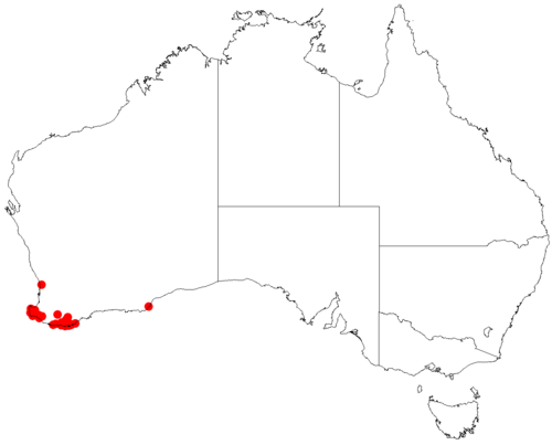 Comesperma nudiusculum: Comesperma nudiusculum occurrence data downloaded from Australasian Virtual Herbarium doi: https://doi.org/10.26197/ala.47a5572a-9a44-4824-8338-856b0ea66947